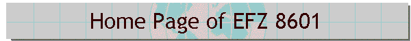 Home Page of EFZ 8601